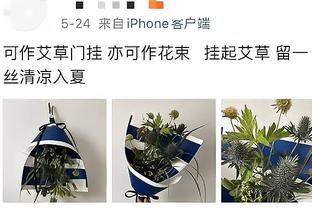 戈贝尔：末节亚历山大-沃克在攻防两端为球队做了很多贡献